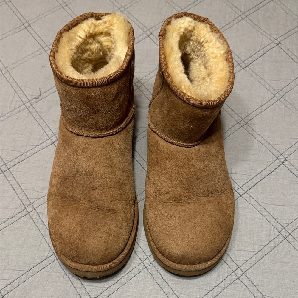 UGG Cozy Tan Shearling-Lined Boots